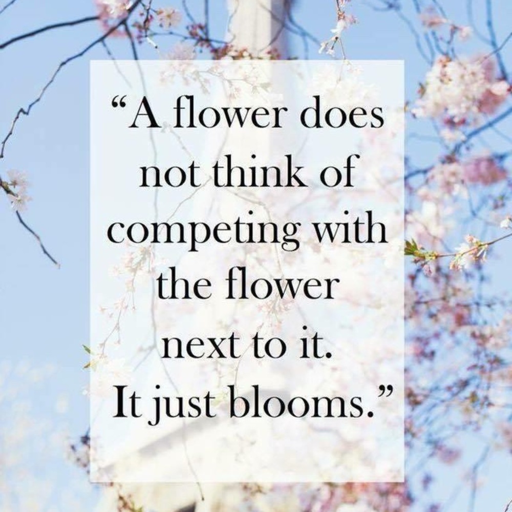 Meet your Posher, Yadira